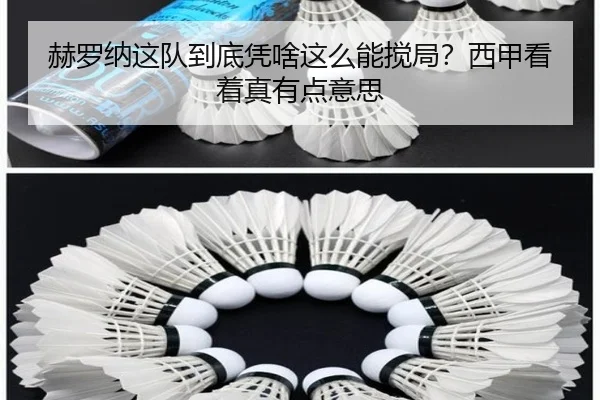he-luo-na-zhe-dui-dao-di-ping-sha-zhe-me-neng-jiao-ju-xi-jia-kan-zhe-zhen-you-dian-yi-si-2-480.jpg