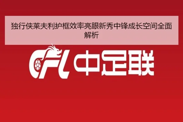 独行侠莱夫利护框效率亮眼新秀中锋成长空间全面解析