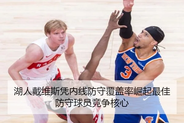湖人戴维斯凭内线防守覆盖率崛起最佳防守球员竞争核心